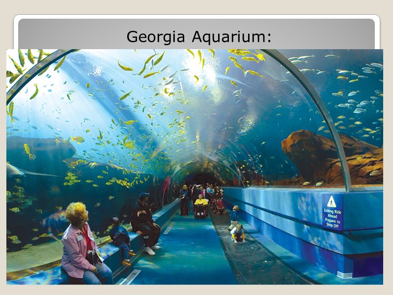 Georgia Aquarium: